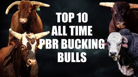 Best pbr bulls of all time - The care and treatment of PBR bulls is a top priority for the organization, ... He is the PBR’s all-time money-winner with more than $7.4 million in career earnings.